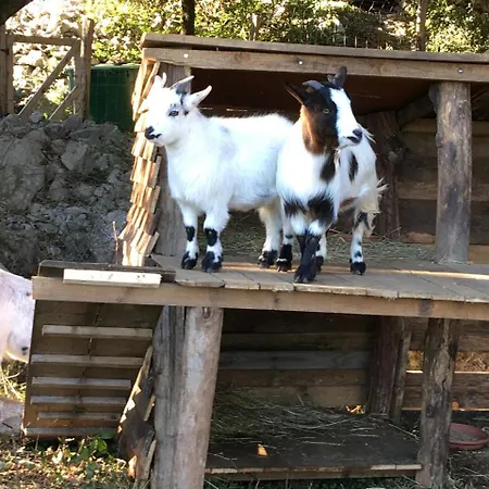 L'apogee Labeaume
